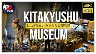 4K HDR Japan 2022 // The most amazing Natural History Museum in Japan