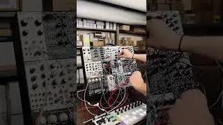 Making music with modular synthesizers. #modularsynth #eurorack #synthesizer