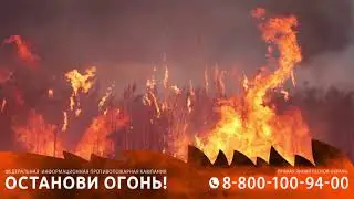 социальный ролик Останови огонь
