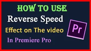 Reverse Speed Effects in Premiere Pro | How to Use Reverse Speed Mode on The Video in Premiere Pro