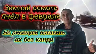 зимовка пчел в феврале, подкормка пчел канди