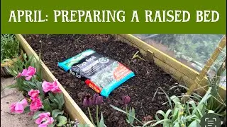 APRIL: Preparing a raised bed for planting & planting up foxgloves & verbascum #cottagegarden