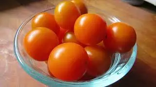 Sungold Tomatoes: The PERFECT Cherry Tomato!