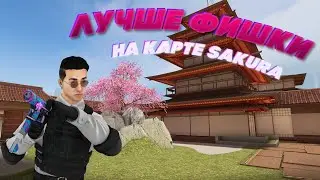 ЛУЧШИЕ БАГИ, ПОДСАДКИ, РАСКИДКИ, ПРОСТРЕЛЫ И ПЛЕНТЫ НА КАРТЕ SAKURA В STANDOFF-2