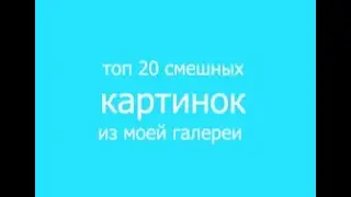 топ 20 смешных картинок из моей галереи