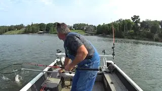 The Morning Bite (Tennessee River)