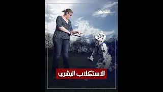 انتشار كلاب بشرية في الولايات المتحدة و أوروبا وسعر الكلب البشري الواحد يصل إلى 100 ألف دولار !