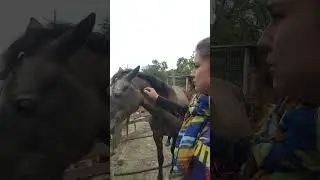 КОБЫЛА ДЫМКА никакой не странный способ