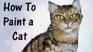 how to paint a cat in watercolor and colored pencil