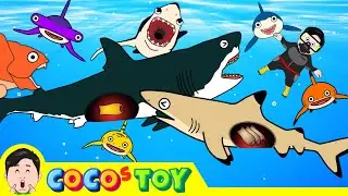 60minㅣCoCosToy's  well-made stories best collection 2ㅣwhales & sharks for kidsㅣCoCosToy