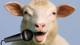 Oi Mush Lyrics sing along version
