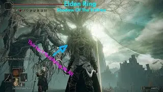 Elden Ring DLC NG+7 Is A Goddamn Nightmare