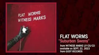 Flat Worms 