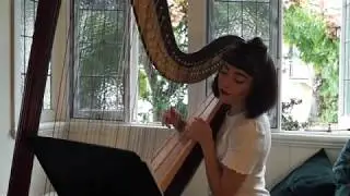 'Perfect' Ed Sheeran - Harp Cover