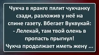 Начитанный Чукча! Сборник Изумрудных Анекдотов №140