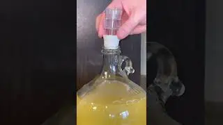 TRADITIONAL MEAD START TO FINISH