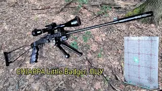 Малокалиберная винтовка Chiappa Little Badger, лазерный прицел 25 метров