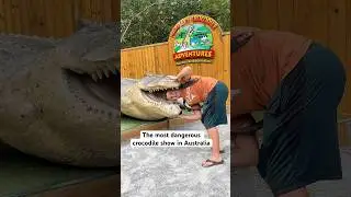 Most dangerous crocodile show in Australia