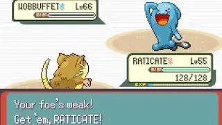 Pokémon Emerald Kaizo Raticate For The Win!!