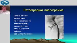 Князюк А.С. Травмы почек