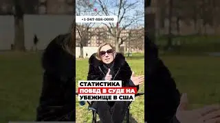 СТАТИСТИКА ПОБЕД адвокатов В СУДАХ на политическое убежище в США 