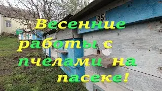 Весенние работы с пчелами и небольшие дельные подсказки начинающим пчеловодам!