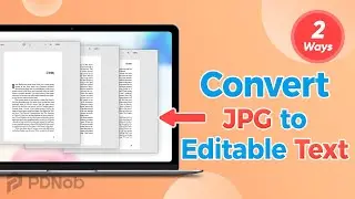 [2 Ways] How to Convert JPG to Editable Text | Batch Image to Text Conversion 2022