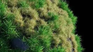 Grass Growing Sim Tutorial IN BLENDER (long version)