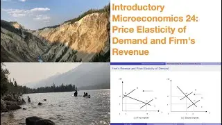 Introductory Microeconomics 24: Price Elasticity of Demand and Firm's Revenue