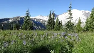 Backpacking the PNW 2020