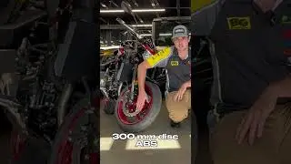 2024 KAWASAKI Z900 VS 2024 Yamaha MT-09