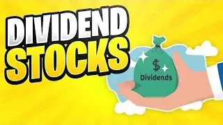 20 Dividend Stocks For Your Portfolio | Cashflow & Dividend Investing