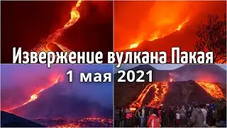 Извержение вулкана Пакайя, Гватемала. Лава течет в сторону городов 1 мая 2021 Катаклизмы, климат