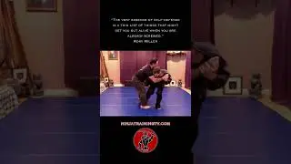 Descending Fist Evasion Form, Ken Sabaki Gata, #shorts #ninja #samurai #martialarts