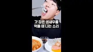 갓 잡은 생새우를 소리 유튜버가 먹으면 나는 소리!