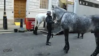 Metropolitan Police Mounted Branch