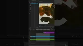 PXL READY Plugin - Premiere Pro - How to use the Export Tool