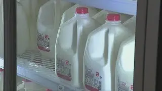 Colorado implements rule to mandate bird flu testing for dairy cattle