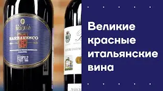 Великие красные итальянские вина