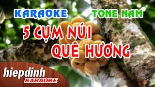 Karaoke 5 Cụm Núi Quê Hương | Beat Chuẩn Hải Ngoại Tone Nam | Hiệp Định Studio