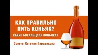 Как правильно пить коньяк? Из каких бокалов пить коньяк?