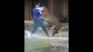 When Zoo Animals Attack Compilation Part 3