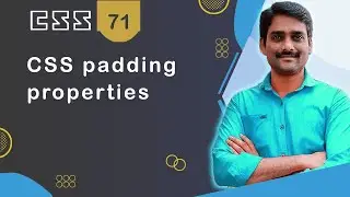 CSS Padding Properties - CSS Tutorial 71