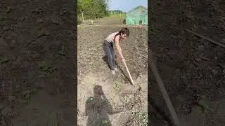 рус киз