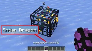 what if you put ender dragon egg in spawner?