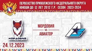 МОРДОВИЯ  vs АВИАТОР г. Казань  24.12.2023