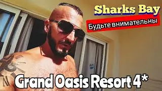 Египет 🇪🇬 Семь раз в один отель? Grand Oasis Resort 4* Сохо  Sharks Bay Подводный мир Обед