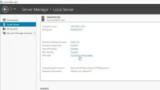 How to Install and Configure DNS server in Windows Server 2019