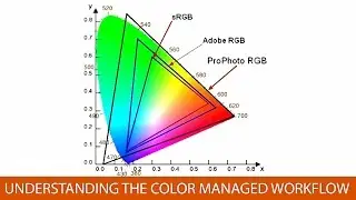 Understanding the Color Managed Workflow
