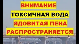 Внимание. Токсичная вода. Ядовитая пена распространяется. Нью-Дели река Ямуна Индия Ганг. Экология